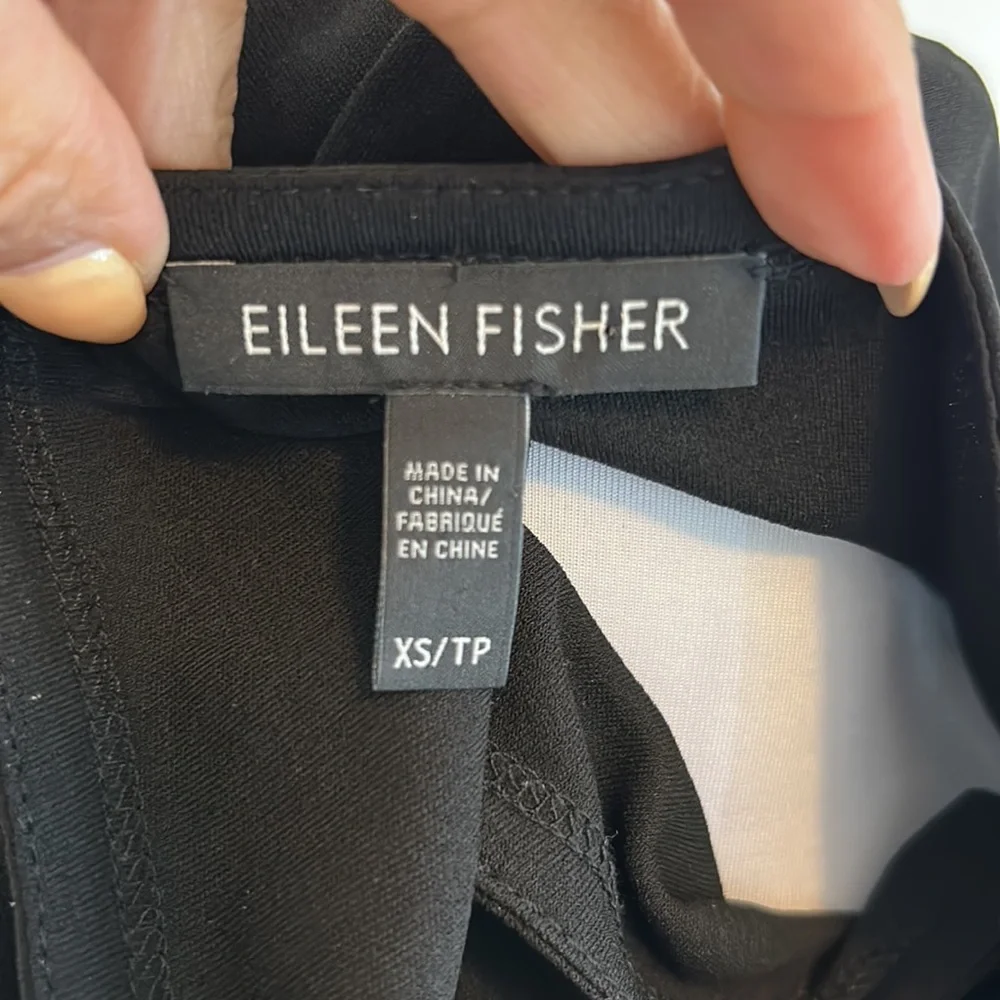 Eileen Fisher Black Silk Georgette Double Layer Dress